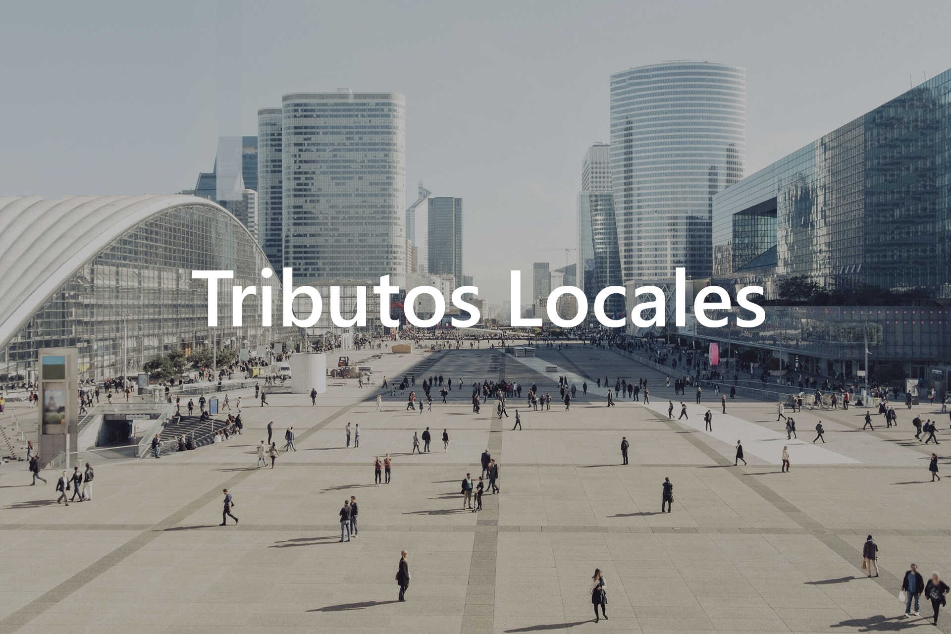 SIGEFI - TRIBUTOS LOCALES